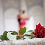 �������� � ������, ��������� ���� - 39