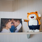����, ���� � ���� - 11