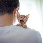 ����, ���� � ���� - 3