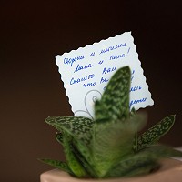 �������� ���������� - 22