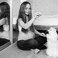 �������� ���������� - 26