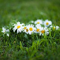 � ����� � ������ - 34