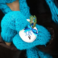 ��������� ���������� - 22